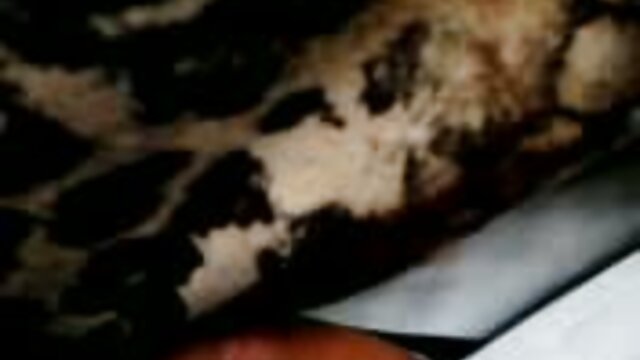 Cinta Untuk Pintu Belakang-Toby, Elle Rose download free bokep indo